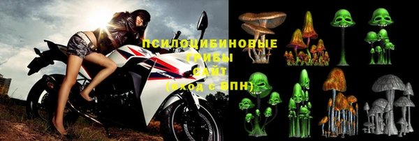 спайс Беломорск