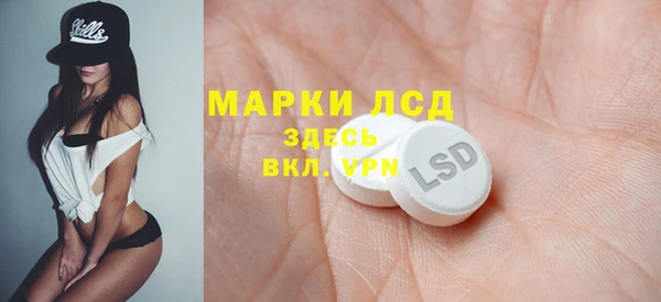 стафф Богданович