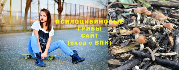 стафф Богданович