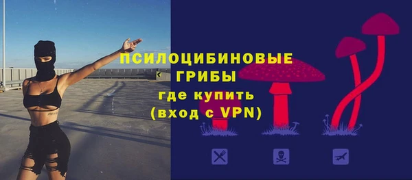 спайс Беломорск