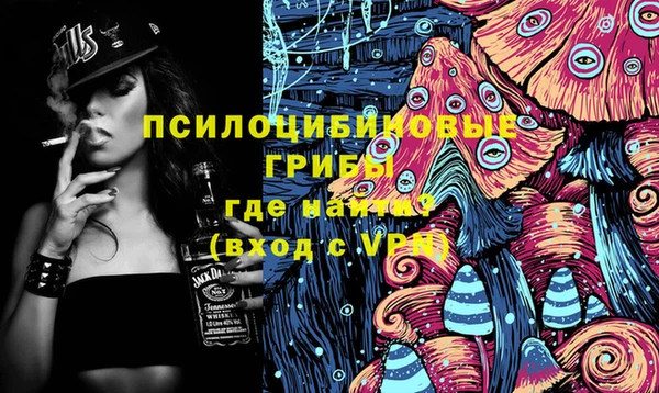 стафф Богданович